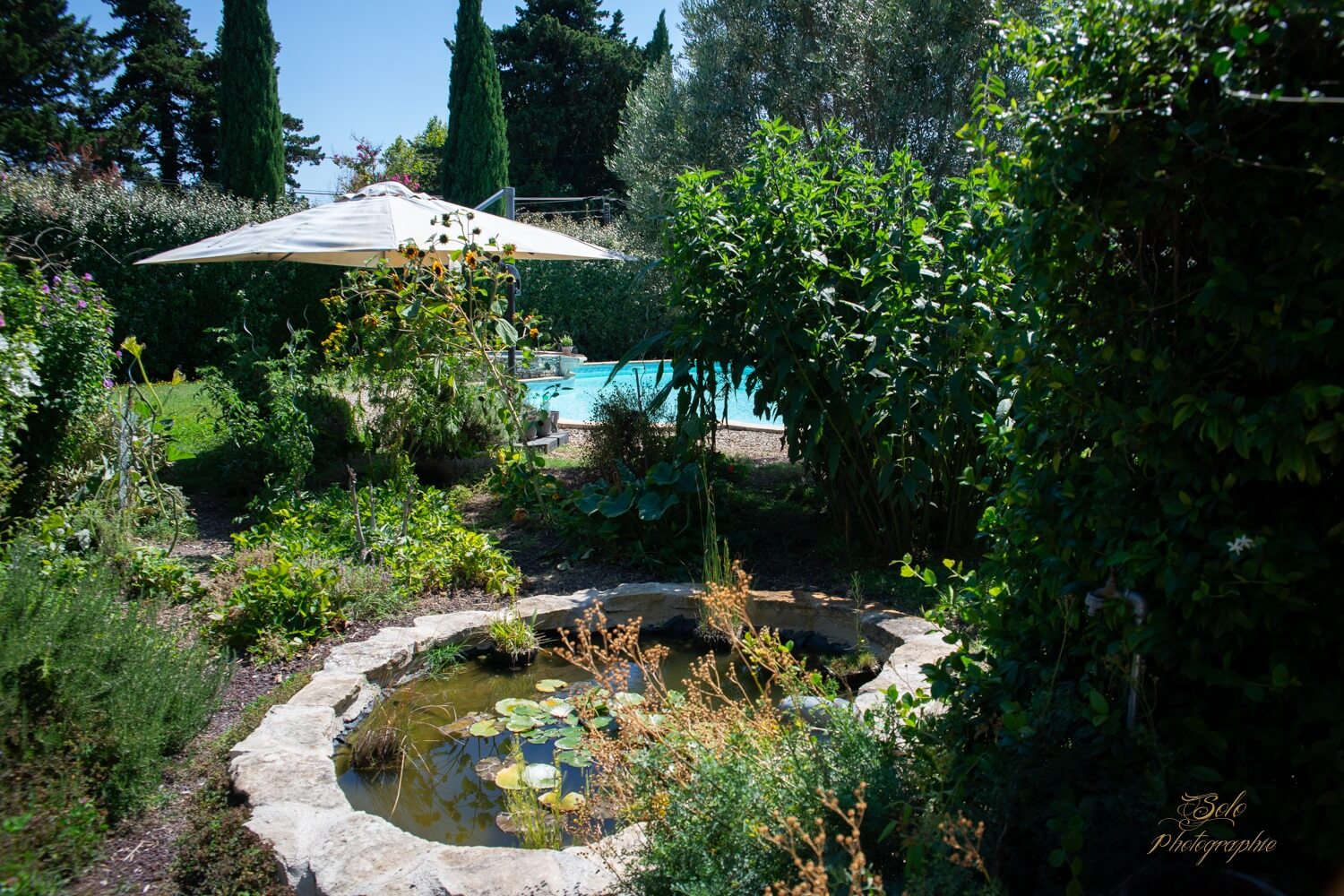 WhatsApp Image 2025-08-17 à 15.53.33_d0f88587